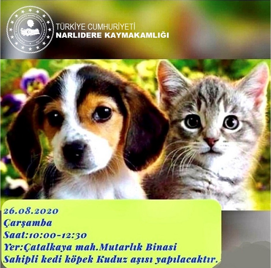Çarşamba 10:00 - 12:30