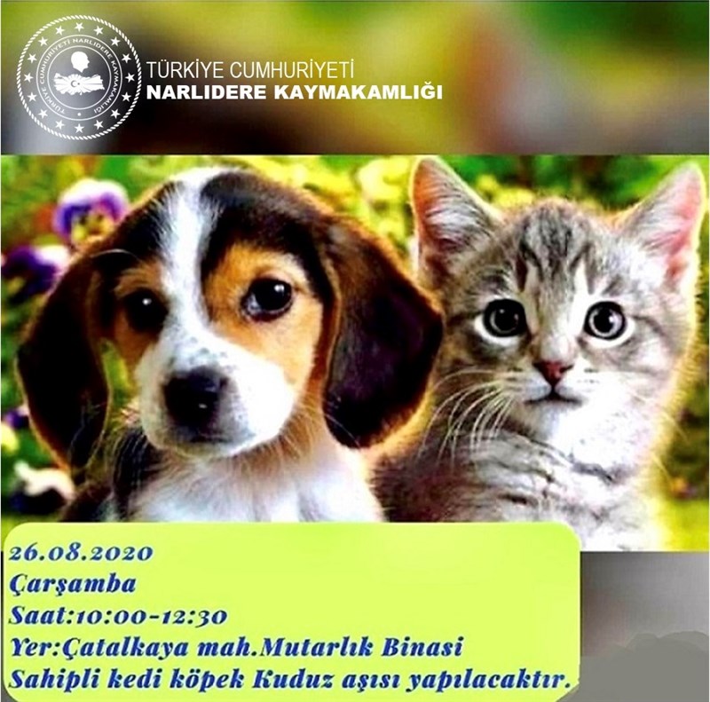Çarşamba 10:00 - 12:30