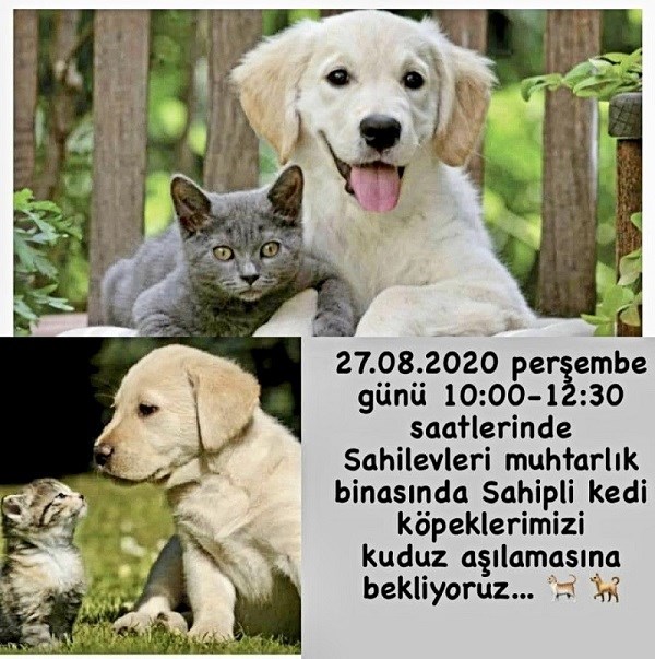 Perşembe 10:00 - 12:30